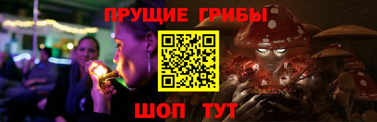 Лсд 25 Советск